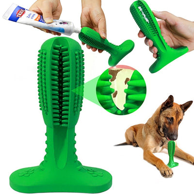 Dog Tooth Brush