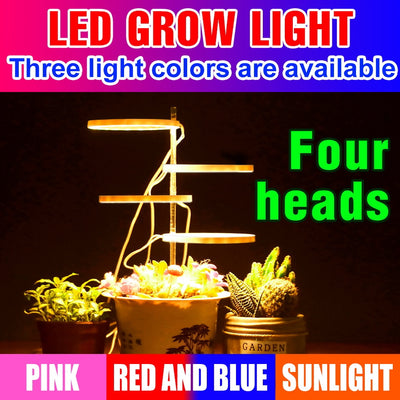 Grow Lights for Indoor Plants